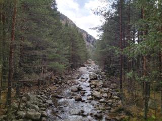 Sunny Studio Eagle Rock - 7