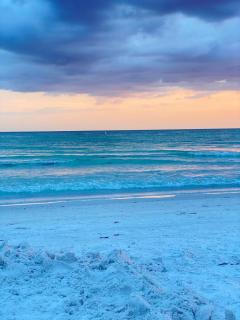 Sunny Escape with Pool 10 minutes from Siesta Key - 8