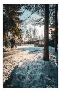 Jurty i namioty w Lesie KotfaLas Glamping Świętokrzyskie-SPA - 7