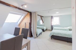 nJoy! Business Apartment Göppingen - WLAN - 6