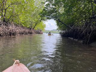 Kohpu garden - Ban Klang - 3