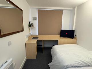 The Solace Haven - 1