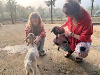 Home for Pet Lovers - Nguyen Shack - 9