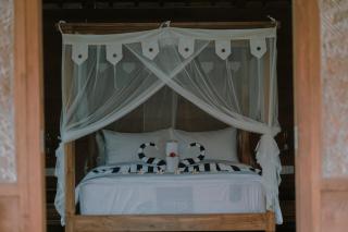 Green vanilla Suite 1 - 5