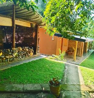 Nature view Safari paradise - 0