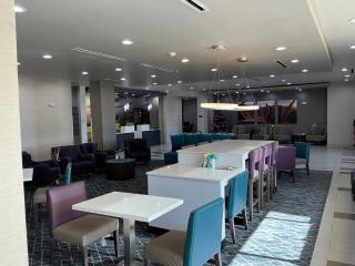 Quality Inn & Suites Colorado City, TX - 6