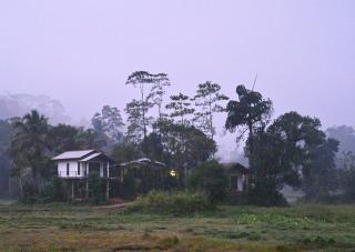 Forest & Fields Sinharaja - A Tale of 2 Villas - 4