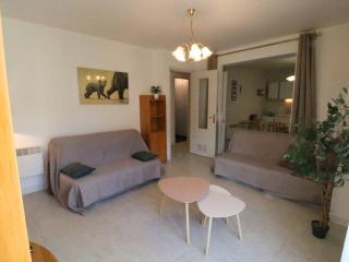 Appartement Luchon Centre - 2 Pièces - 4 Pers - Animaux OK - FR-1-313-247 - 1