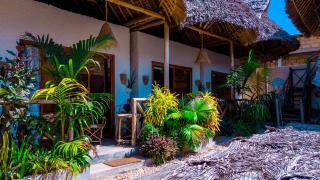 Bougainvillea nungwi zanzibar - 2