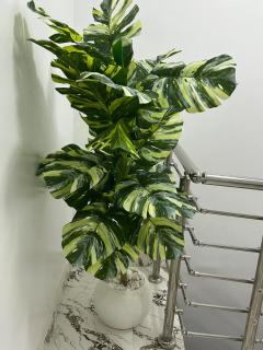 Kinsale CT townhouse - 6