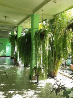 Hospedaje Las Palmas - 8