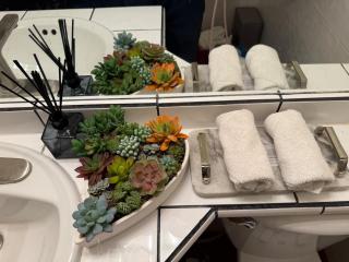 NEW Luxury Executive Home 5 bedrm FitRM 6,000sq - 5