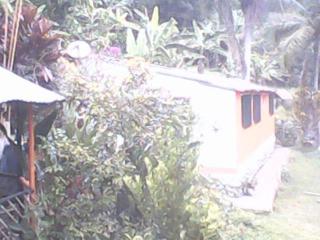 Hospedaje El Carmen - 3