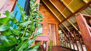 Sigiri Aliya Tree house - 2