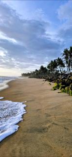 Blue Cove Villa Varkala - 1