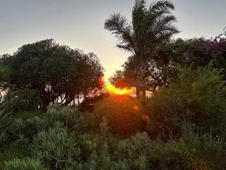 The Magnolia Room - 6