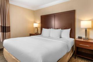 Comfort Suites Downtown Carlisle - 2