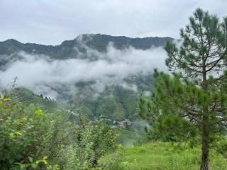 Aashirwad Health Retreat - 7