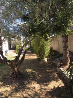Villa des carassins - Saint-Rémy-de-Provence - 5