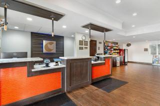 Comfort Inn & Suites Sacramento - University Area - 5