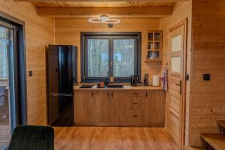 Poczuj Roztocze - domek w lesie -  - 1