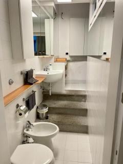 Camilluccia ponte Milvio Farnesina luxury loft with private box parking - Roma - 6