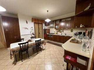 Cassiopea - 8