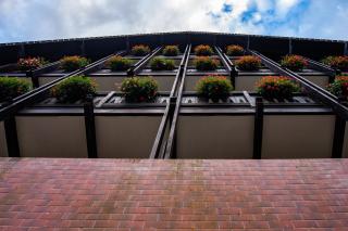 Casa Iris-Hotel & Restaurant - 3