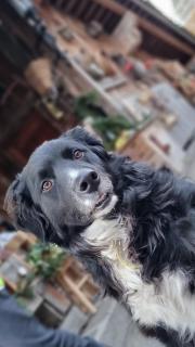 Historisches Apartment Duregghof - 9