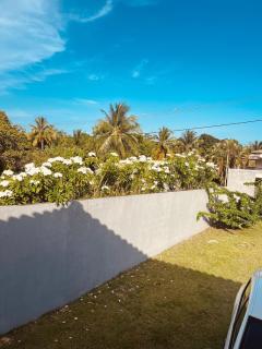 Casa top - 1