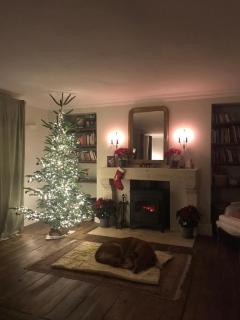 Dordogne Country Home - Year-Round Getaway - 7