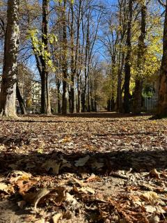 Casa Pomar Apartament - 7