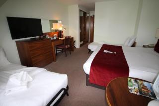 Best Western Ship Hotel - 6