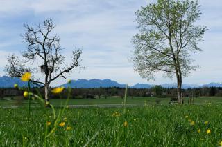 Naturlandhof Mitterer - 4