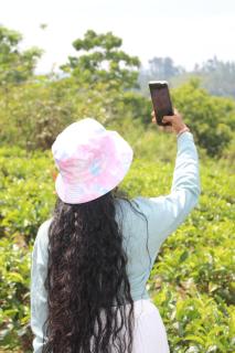 Star Bish Mount View - 3