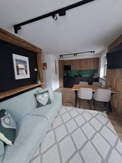 Alpen Lodge Premium Apartment - 5
