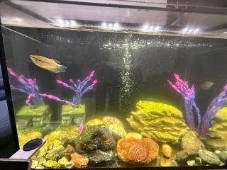 Encantadora casa con piscina privada - 6