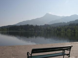 Chalet with 2 apartments in Kirchberg - 2