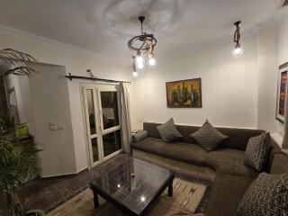 اللوتس الجانبيه بجوار الجامعه الامريكيه - 2