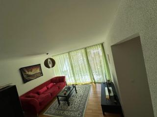 A room in semi shared flat - 1