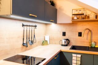 Stairs to heaven - attic apartment in the center of Brno - Brno - 1