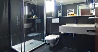 PLAZA INN Wels - Wels - 8