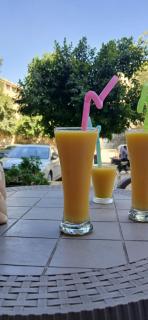 Luxury apartment 10 min to pyramids - 1