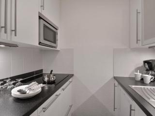 Bel appartement proche pistes, animaux admis - FR-1-181-2012 - 1