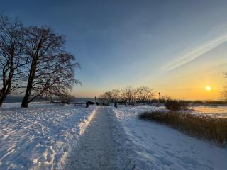 Guest Apartments Orłowo - 6