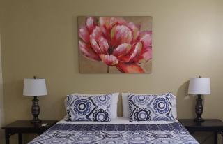 Casa Serena - Relaxing, private, family friendly - 7