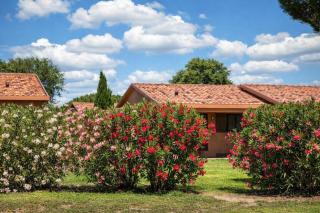 Hotiday Montalto Marina - 9