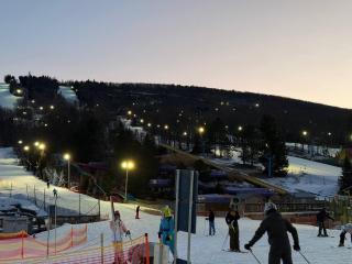 Golden Deer Lodge - 4