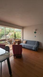 Departamento central, Quinta Vergara - 2