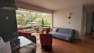 Departamento central, Quinta Vergara - 1